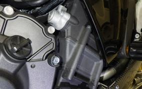 YAMAHA YZF-R1 M 2020 RN65J
