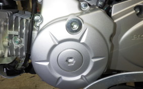 HONDA ｸﾛｽｶﾌﾞ50 2023 AA06