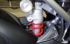 BMW S1000RR M DDC 2025