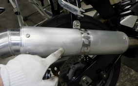 SUZUKI GOOSE 250 2020 NJ46A