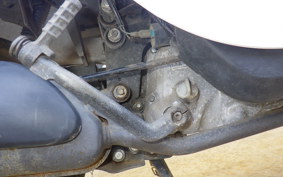 HONDA GIORCUB AF53