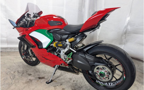 DUCATI PANIGA-REV2 2023 1H00