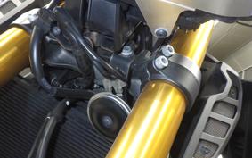 YAMAHA MT-09 ASP 2019 RN52J