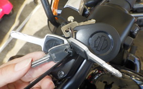 HARLEY FXLRS1920 2024