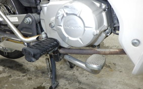 HONDA C110 SUPER CUB 2010 JA10