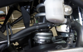 YAMAHA YZF R-3 2024 RH21J
