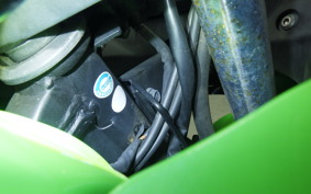 KAWASAKI NINJA 250R 2007 EX250K