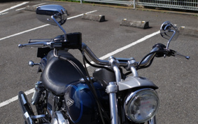 HARLEY FXDL 100th 2002 GDV