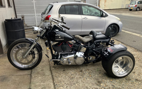 HARLEY FLSTF TRIKE 2007 BX5