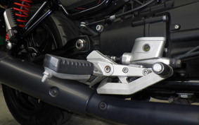 MOTO GUZZI V7 CARBON 2019