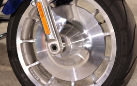 HARLEY FLFBS 2023 YGK