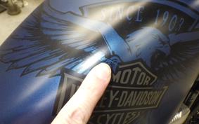 HARLEY XL1200X 2018