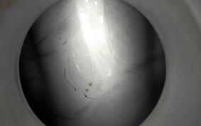 HONDA CB400SS E 2006 NC41