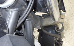 HONDA CB250F 2006 MC43