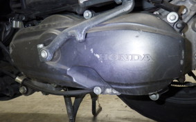 HONDA DUNK AF78