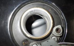 KAWASAKI W800 2018 EJ800A