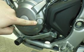 HONDA CRF250L 1991 MD47