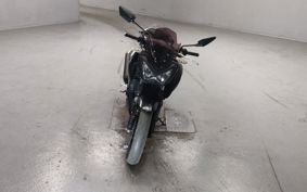 KAWASAKI Z250 ER250C