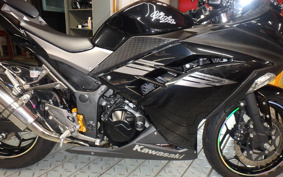 KAWASAKI NINJA 250 EX250L