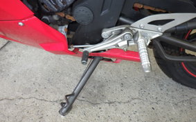 OTHER +ﾒｶﾞﾘ250R