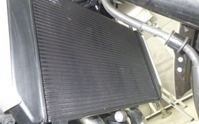 KAWASAKI Z900RS 2021 ZR900C