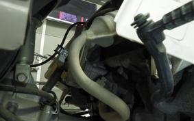 HONDA GYRO X 2024 TD02