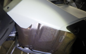 APRILIA TUONO 660 2025