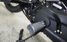 HARLEY FXBB1750 2020