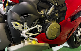 DUCATI PANIGA-REV4S 2025 5D00