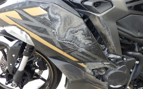 KAWASAKI ZX-25R ZX250E