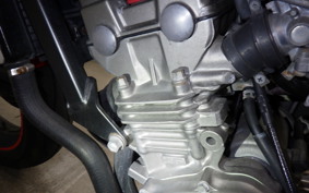 HONDA HORNET 250 2023 MC31