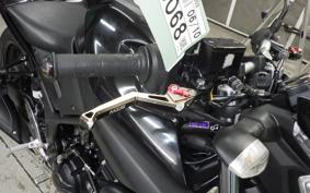 YAMAHA MT-25 2010 RG43J