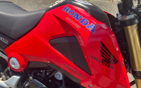 HONDA GROM JC61