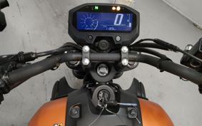 YAMAHA FZ-X150 RG73