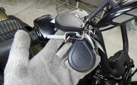 HARLEY FXBB1750 2019