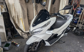 HONDA PCX 125 JF81