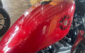 HARLEY XL883N 2020 LE2