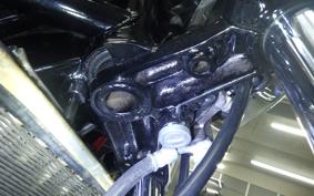 KAWASAKI Z1000 2024 Z1F