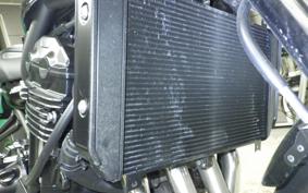 KAWASAKI Z900RS CAFE 2025 ZR900K