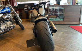 HARLEY FLFB 2025 YF9