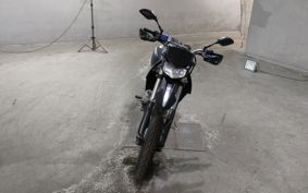 KAWASAKI D-TRACKERX LX250V