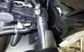 YAMAHA CYGNUSｸﾞﾘﾌｧｽ SEJ4J