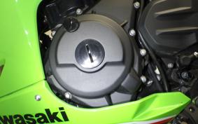 KAWASAKI NINJA 250 2023 EX250Y