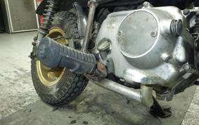 HONDA GORILLA 2020 Z50J