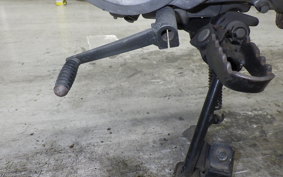 HONDA MONKEY BAJA 2021 Z50J