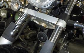 YAMAHA DRAGSTAR 250 2019 VG02J