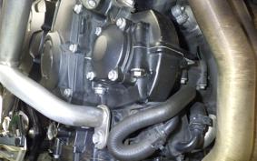 TRIUMPH TIGER 900 GT PRO 2025