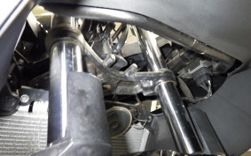 KAWASAKI NINJA 250 2021 EX250L