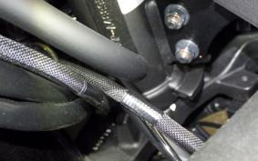 KAWASAKI ZX-4RR 2026 ZX400P