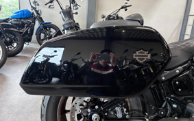 HARLEY FXLRST 2024 YXZ